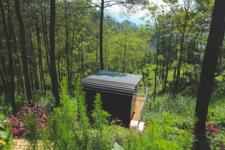 Brown wooden house in the middle of forest during daytime