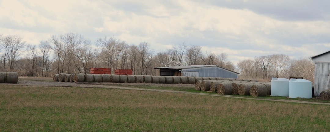 Farm field with hay bales, barns, and water tanks.