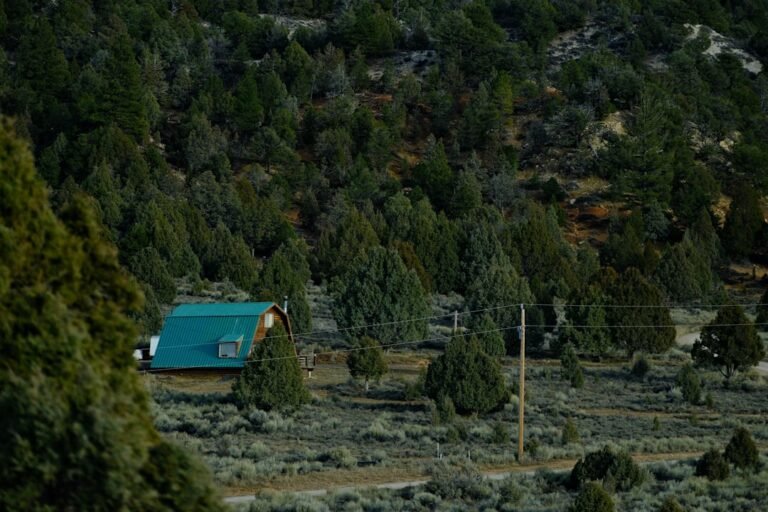 A small cabin nestled among evergreen trees.
