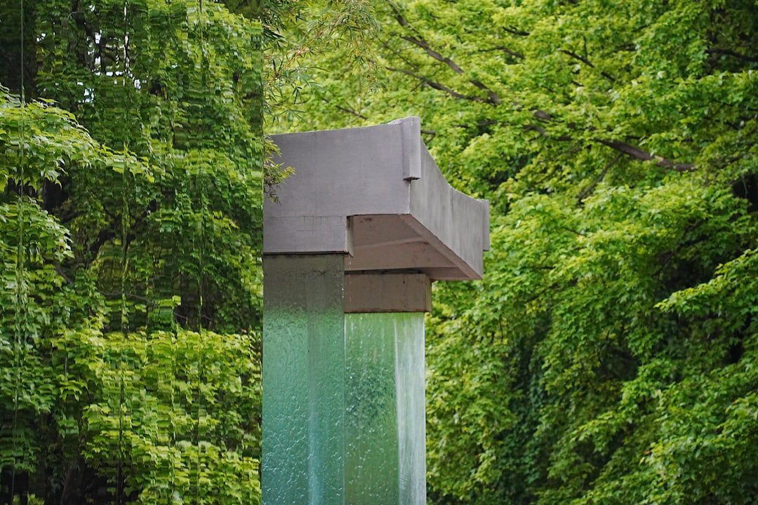 A fountain flows amidst lush green trees.