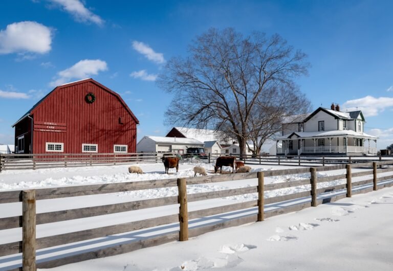Red barn and farmhouse on snowy winter day.