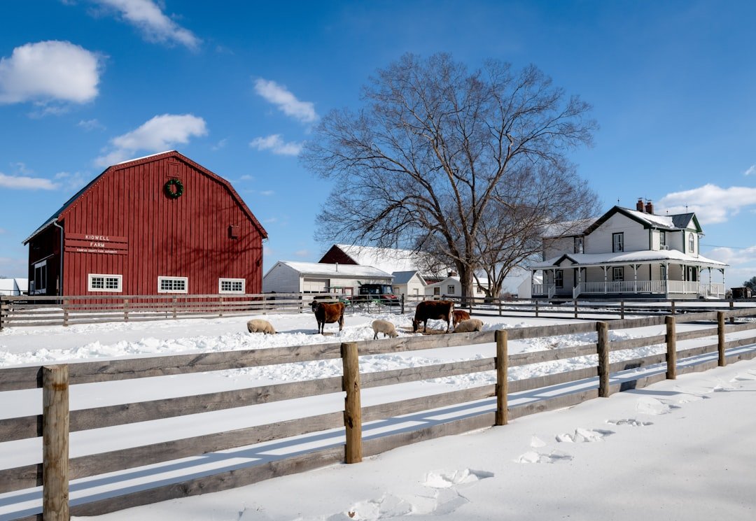 Red barn and farmhouse on snowy winter day.