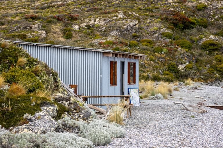 Small corrugated metal cabin in a rocky, overgrown landscape.