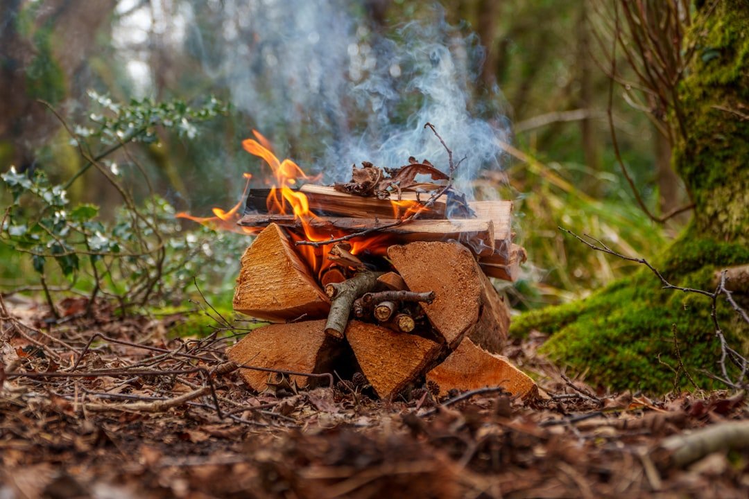 A campfire burns brightly in the forest.