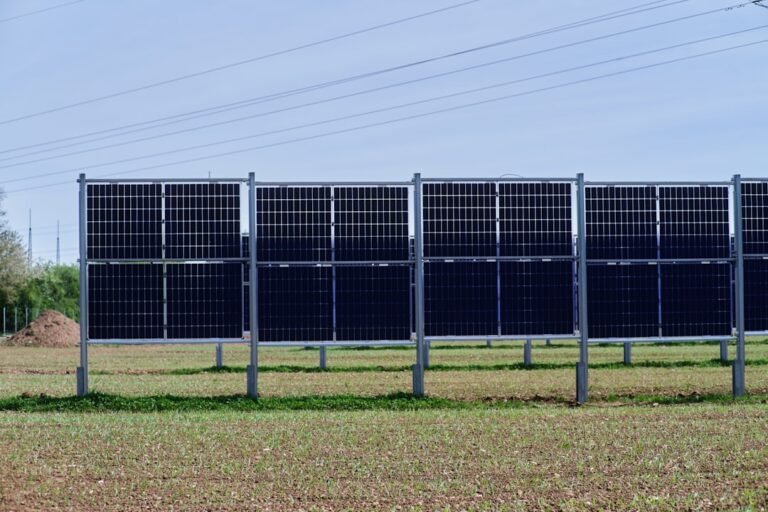 A row of solar panels in a field