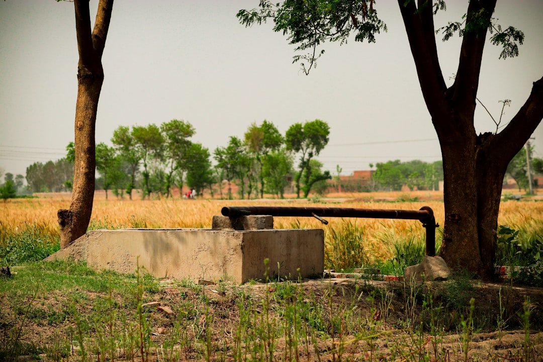 Water pump in a rural field with trees