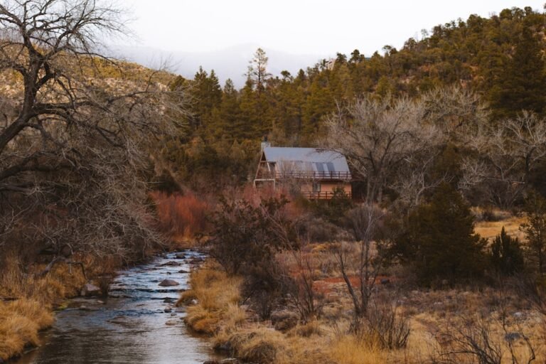 Brown and white house near river surrounded by trees during daytime