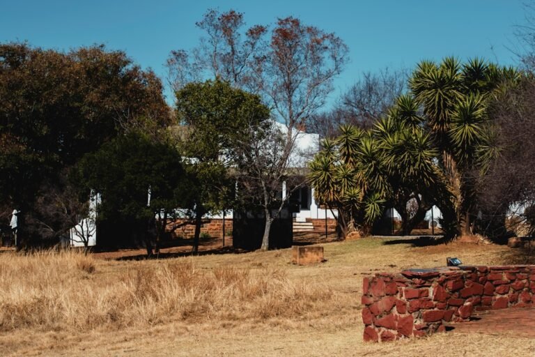 White house surrounded by trees and dry grass